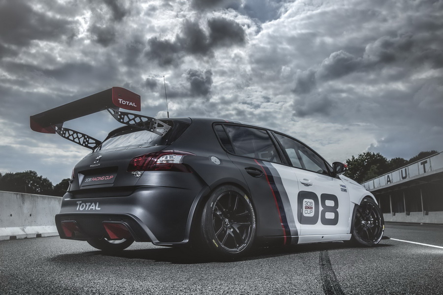 Peugeot_308_Racing_Cup_5