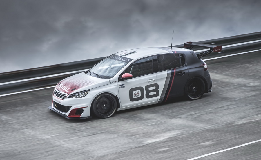 Peugeot_308_Racing_Cup_7