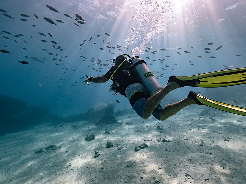 Cinco lugares mágicos para bucear en Las Islas de Tahiti