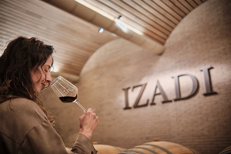 Visita a La Rioja Alavesa en Enobus, o cómo el gusto y el olfato se activan 