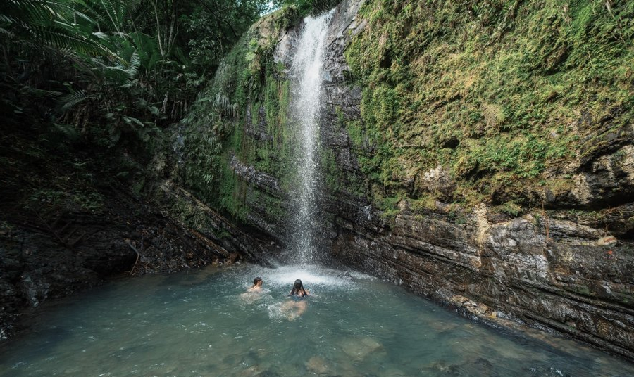 Puerto Rico, la isla que late: naturaleza, memoria, mar y puro Caribe