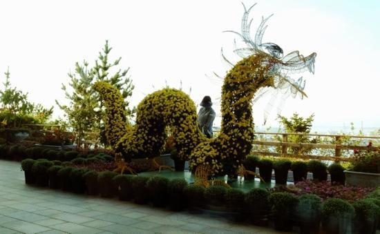 hotel-garden