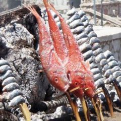 Restaurantes recomendados en La Axarquía