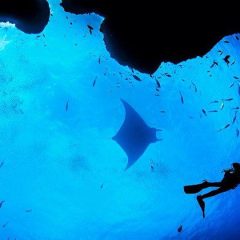 Ocho paraísos submarinos en España para amantes del snorkel