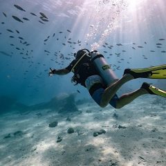 Cinco lugares mágicos para bucear en Las Islas de Tahiti