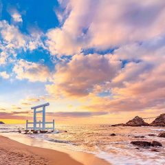 Japón recibió 3.6 millones de turistas en enero de 2026