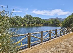 Sierra Norte de Madrid: 9 rutas de senderismo totalmente accesibles
