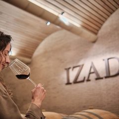 Visita a La Rioja Alavesa en Enobus o cómo el gusto y el olfato se activan