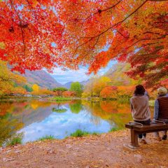 Vuelos directos Barcelona-Seúl: la guía del otoño en Corea 2026