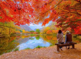 Vuelos directos Barcelona-Seúl: la guía del otoño en Corea 2026